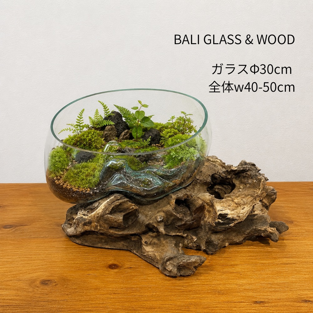 【硝子Φ３０ｃｍ】BALI 流木硝子 [貨物輸送無料]※構成要素有料 飾りつけ オブジェ 花立て 御花軍事基地 飾りつけ 花器 バリ硝子 硝子 木製 白木 古木 北欧 北欧室内装飾 バリ室内装飾 室内装飾 工芸 バリ 調度品 室内装飾 雑貨