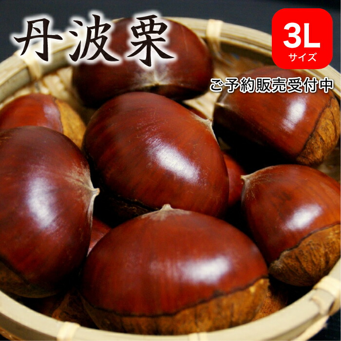 楽天市場】四万十栗 （生栗） 3Lサイズ 約1kg（約30～40個入り