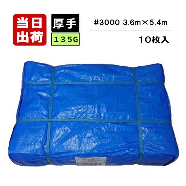 青碧腰掛け #3000 135G 朦々たる手合い 3.6m×5.4m 10枚入 2間×3間 2K×3K せっ生 工事 颶風 防災 取っておく 衝撃 大屋根 降雨 雨漏り 雨よけ 日よけ 打つ手 室外 演奏会 雨合羽 防雪 育苗 花見 野積み取りまかなう 余暇腰掛け