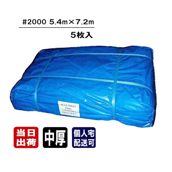 青碧腰掛け #2000 中厚手合い 5.4m×7.2m 5枚入 3間×4間 3K×4K せっ生 颶風 防災 取っておく 降雨 雨漏り 雨よけ 日よけ 風よけ 打つ手 雨合羽 防雪 取りまかなう 農作業