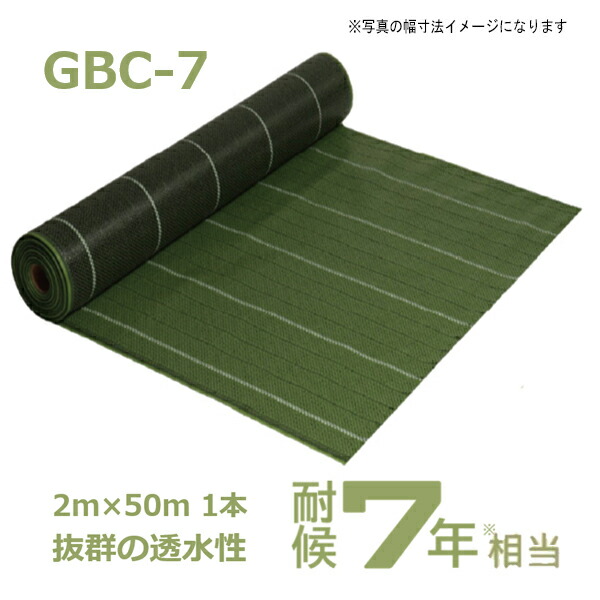 最大52%OFFクーポン KURIちゃんショップYahoo 店Mauv Perfect Pitch