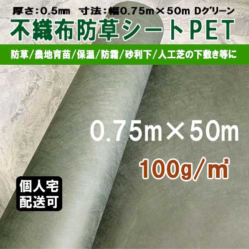 imgrc0098976370.jpg