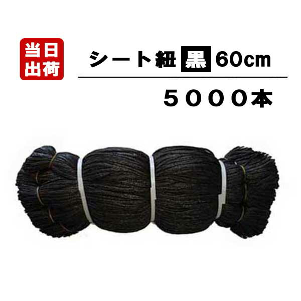 赤いひも himo-6b5000-top.jpg