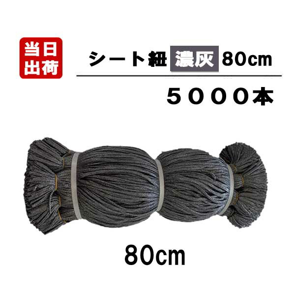 シート紐 黒 9000本