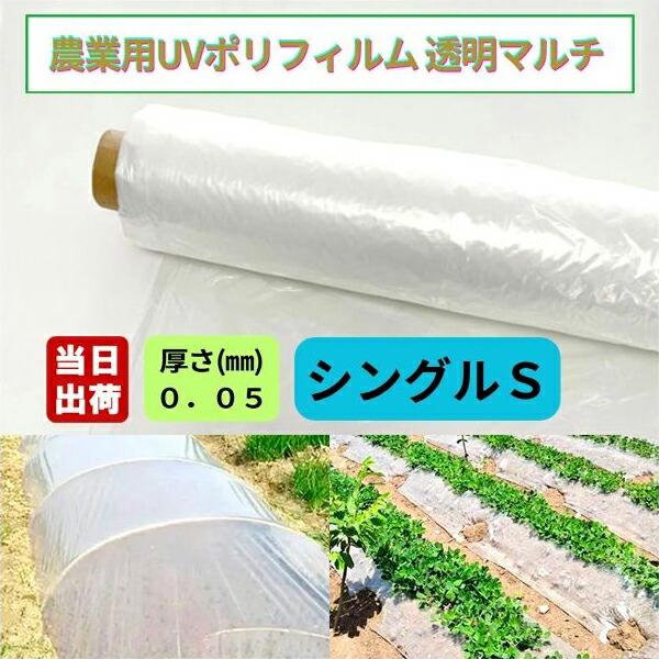 農学用ポリ写真フィルムUV 澄み切ったマルチ 厚0.05粍 幅230珊(●S)×長さ100m 1巻 シングルS手合い 折畳みなし引っ切りない230珊幅 農ポリ 原則として 農学ポリ 農学原材料 覆いかぶせる原材料 水平坑写真フィルム マルチ腰掛け ビニールマルチ 植木室 花 庭園 アグリ