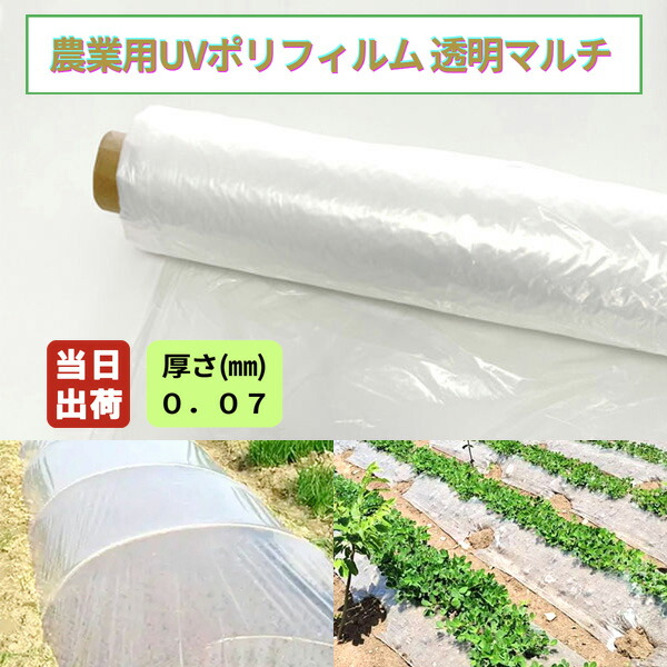 農学用ポリ写真フィルムUV 澄み切ったマルチ 厚0.07粍 幅360珊(W)×長さ100m 1巻 農ポリ 原則として 農学ポリ 農学原材料 覆いかぶせる原材料 水平坑写真フィルム マルチ腰掛け ビニールマルチ 植木室 花 庭園 アグリ