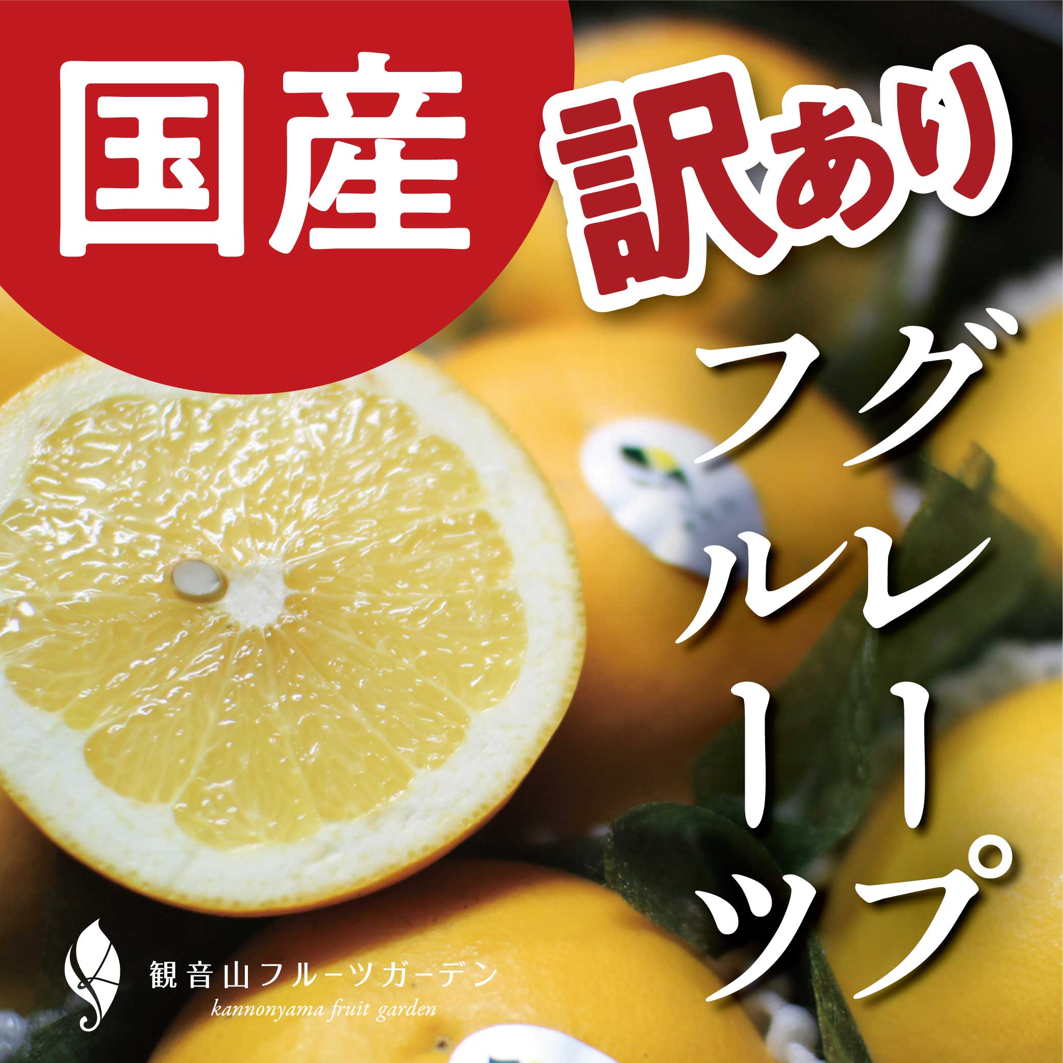 楽天市場】獅子柚子 鬼ゆず 邪気を払う 大玉 B級品 1玉 観音山フルーツ