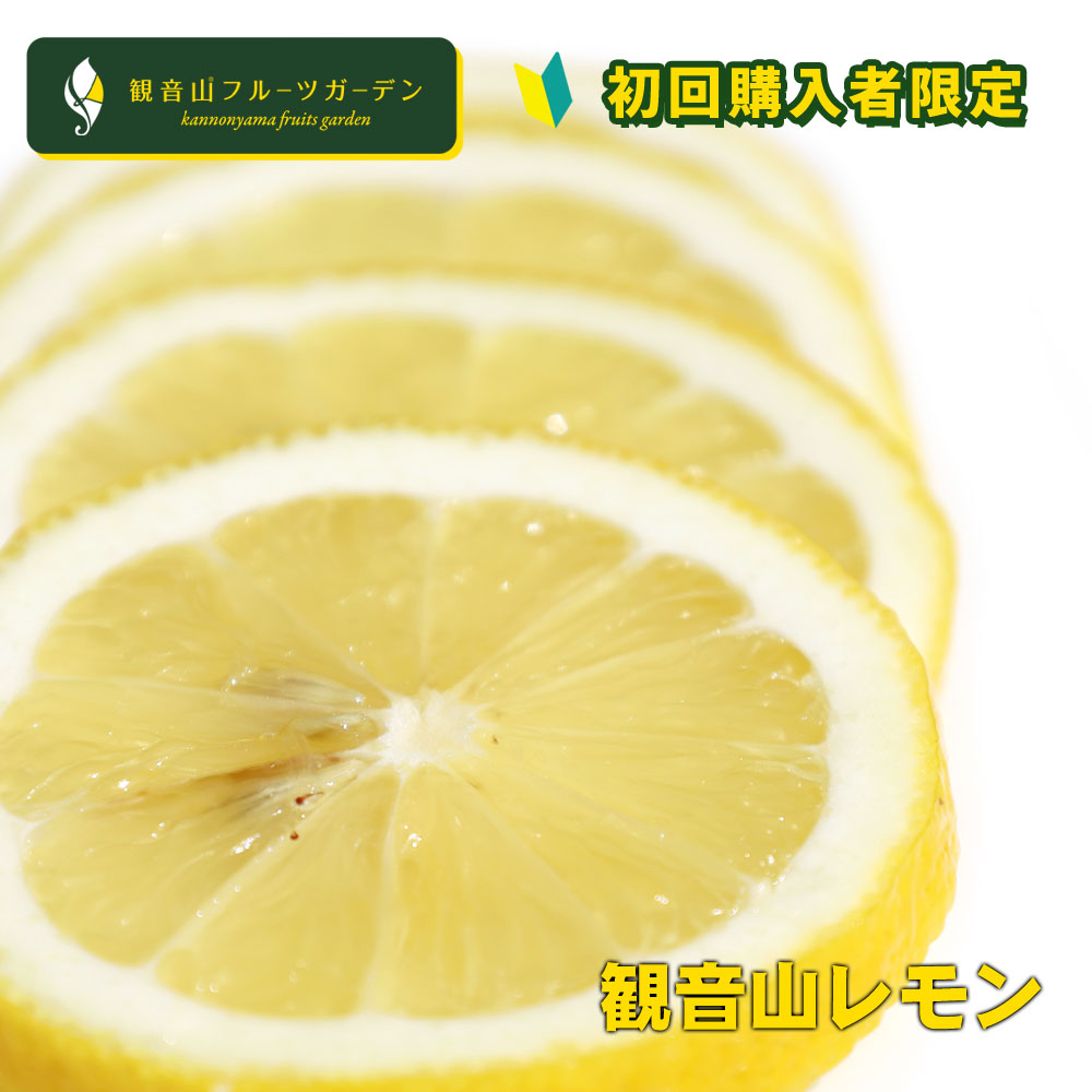 【楽天市場】レモン 国産 天皇陛下献上の観音山レモン 果皮が黄色の 
