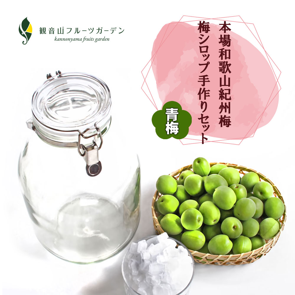 梅酒にも 観音山フルーツガーデン 梅シロップ手作りセット 和歌山県産 青梅1.2kg 氷砂糖1kg 果実用瓶 送料無料
