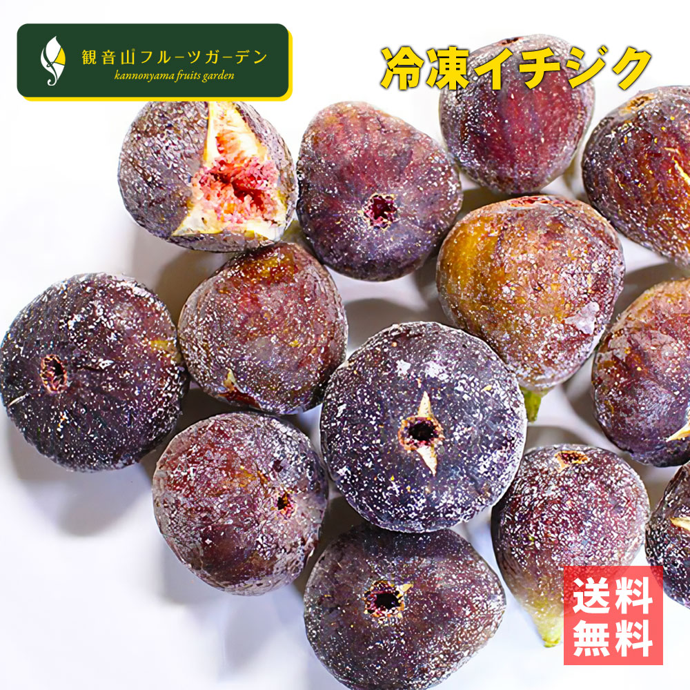 冷凍いちじく 大中小混合 加工用イチジク ジャムやシロップに 3kg 観音山フルーツガーデン  送料無料