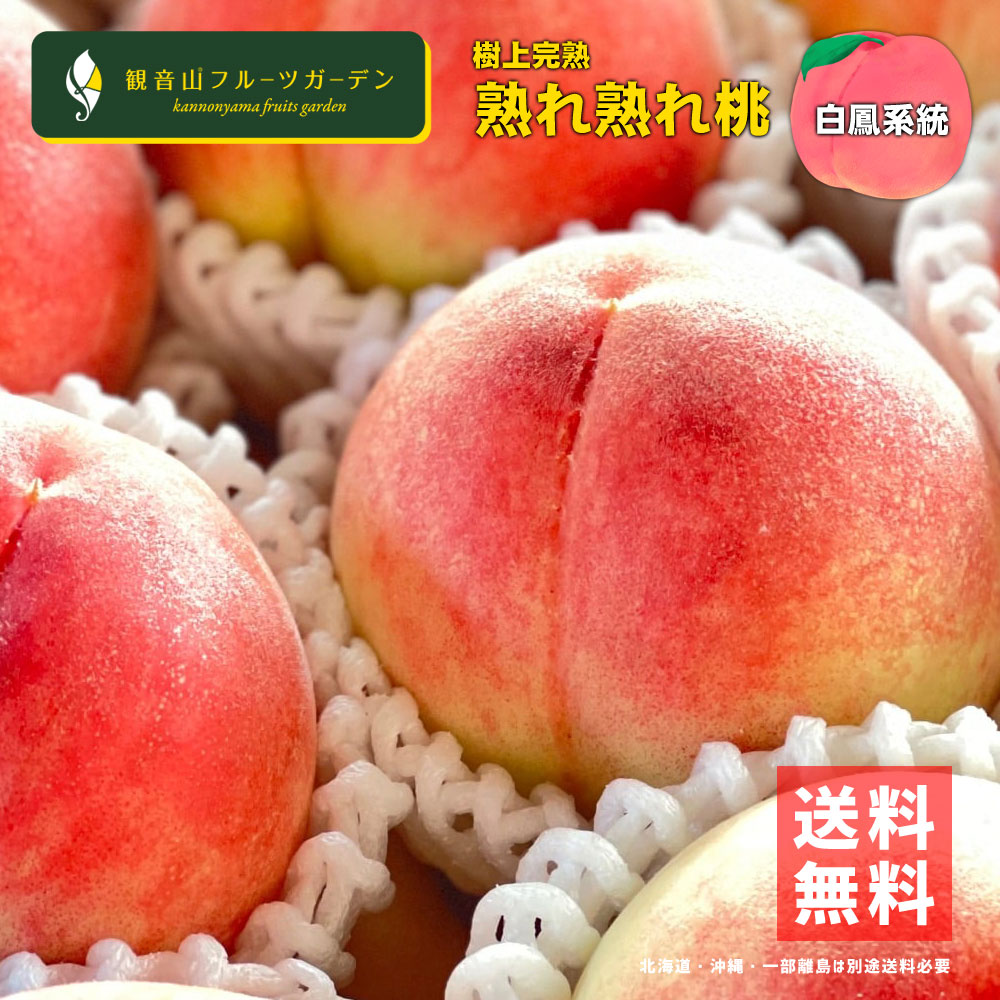 桃 【白鳳】 紀ノ川 熟れ熟れ桃 白鳳系統 A級 2kg 和歌山 観音山フルーツガーデン 送料無料