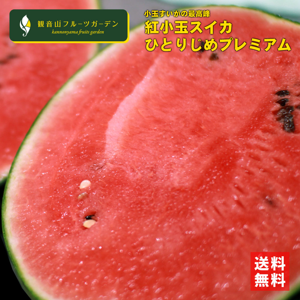 紅小玉スイカ ひとりじめプレミアム 2Lサイズ（約2.5kg） 和歌山 観音山フルーツガーデン 送料無料