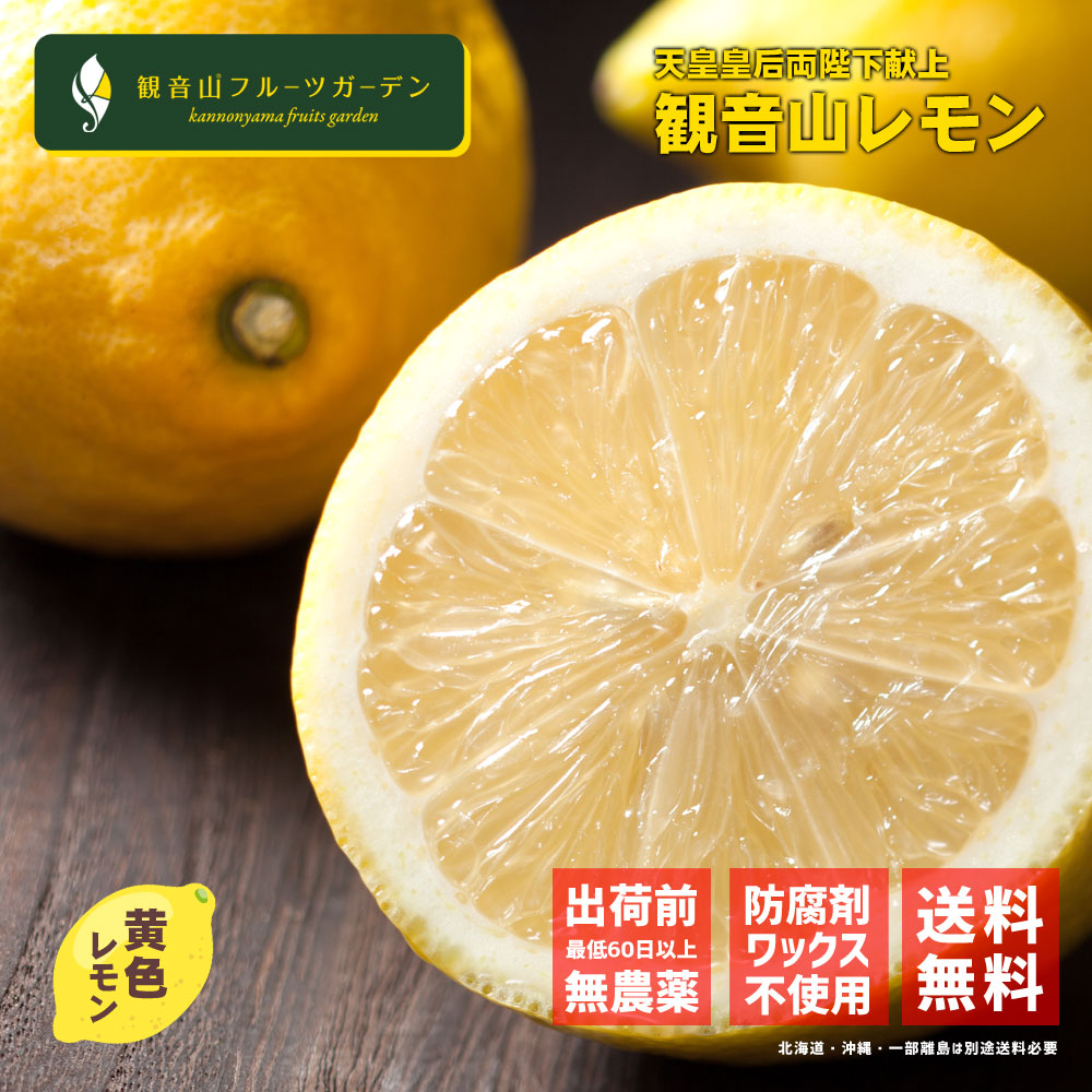 レモン 国産 天皇陛下献上の観音山レモン 果皮が黄色のイエローレモン わけあり B級品 おてんば娘 2kg 観音山フルーツガーデン 送料無料  観音山フルーツガーデン