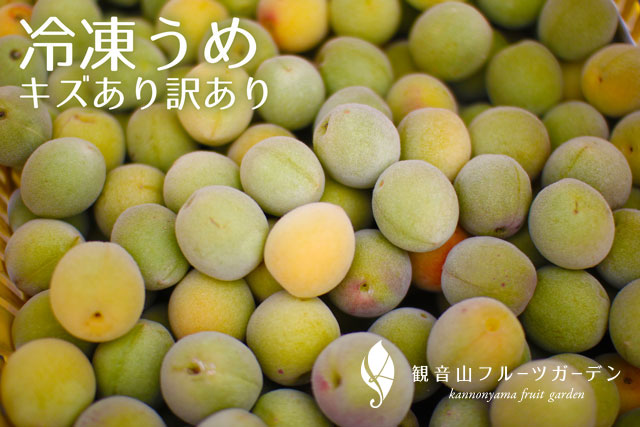 楽天市場】露茜（つゆあかね） AB混合 梅とすももの交配種 1kg