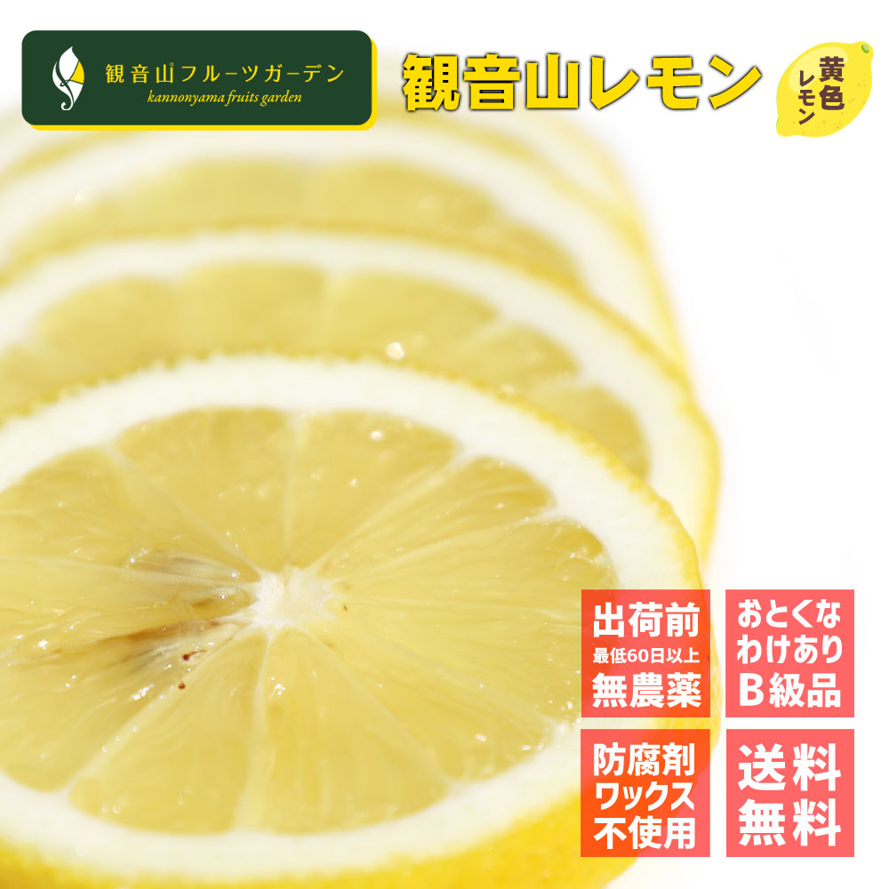 【楽天市場】レモン 国産 天皇陛下献上の観音山レモン 果皮が黄色の 