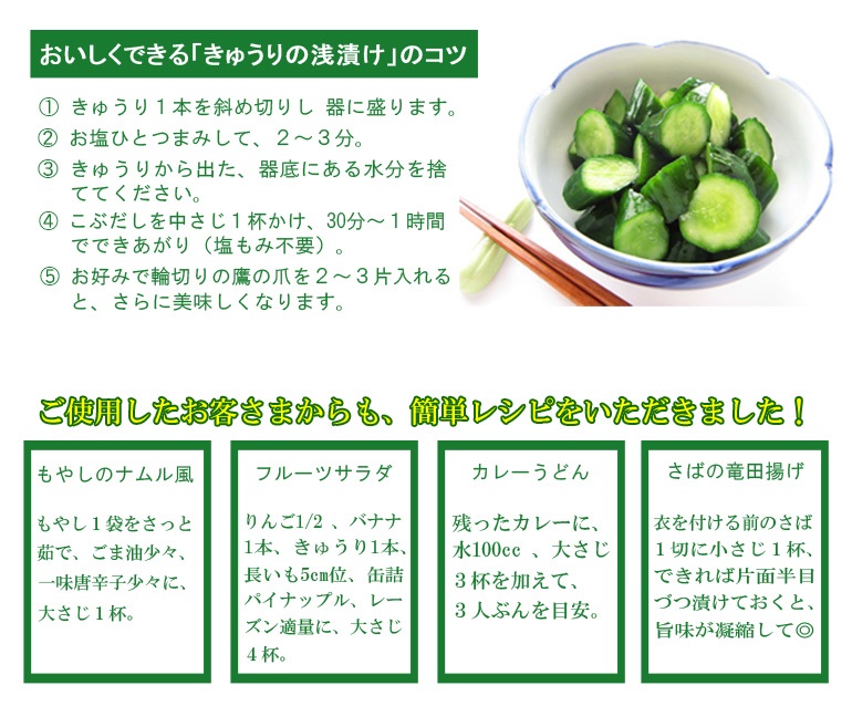 こぶだし 500ml １本 期間限定お試し価格 １本