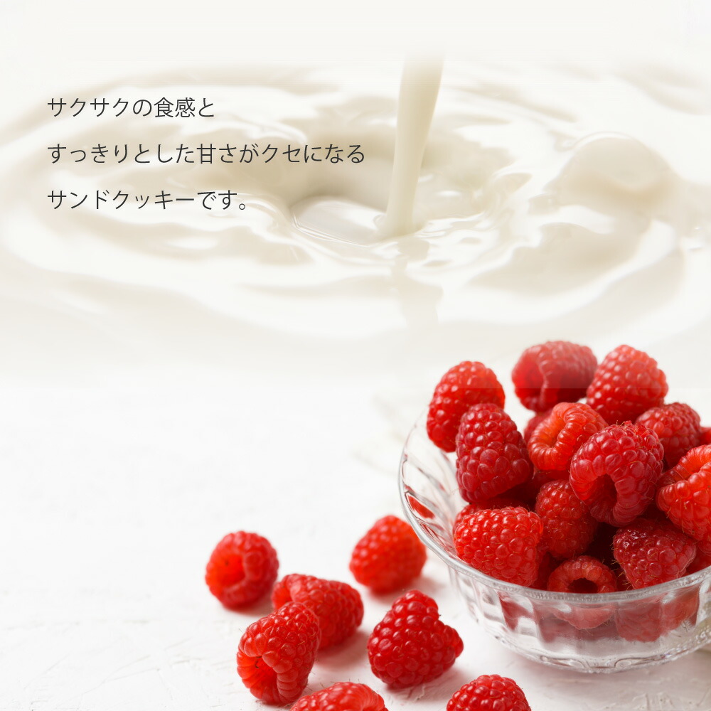 プレゼント ギフト ごちそうみるく ラズベリーチョコサンドクッキー