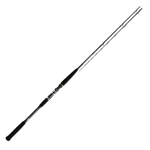 メタリア　ビシアジ　M-170・V ダイワ(DAIWA) 船竿 メタリア ビシアジ・V M-170・V 釣り竿