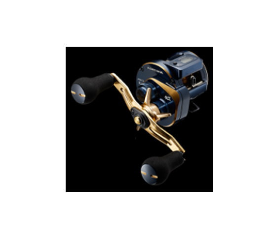 楽天市場】ダイワ 21ソルティガ IC 300 右ハンドル 送料無料 : ます