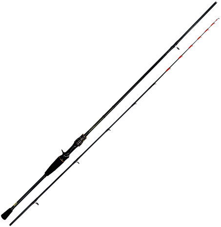 DAIWA MAGOCHI X 210 船竿　ダイワ マゴチX 210 23magoti-x-.jpg