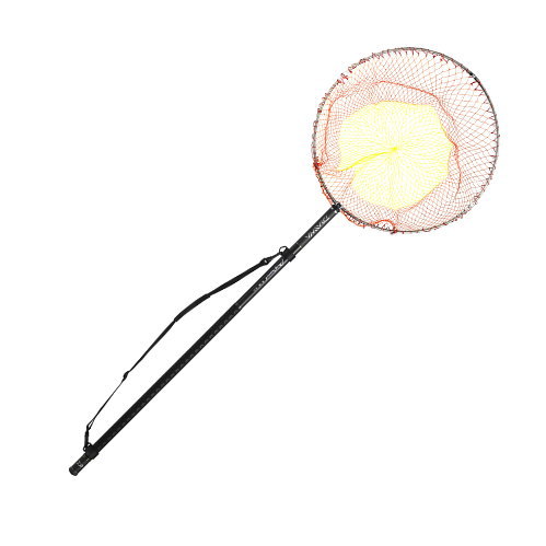 楽天市場】ダイワ 23 プログランド磯玉網 50-55 W / たも網 玉の柄