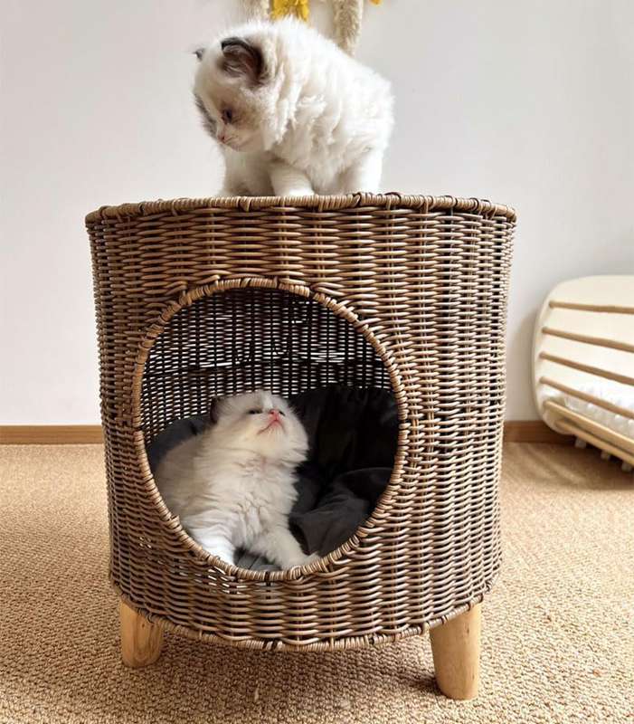 ナイトテーブルペットベッド りんごの木猫臥榻,パイナップルの猫臥榻，半密閉型愛玩動物犬用猫用ハンモックです猫住みか籐通気愛玩動物臥榻籐臥榻可愛らしい二階建て猫住みか犬猫ベッドベッドベッド居敷き室外猫調度品を