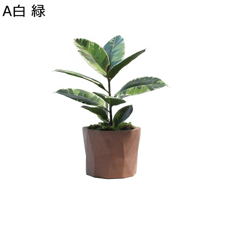 人工観葉草木 即物的 モンステラの葉 熱帯観葉 本物そっくり 室内装飾緑であること フェイクグリーン 飾り気の無い取り計らういらず 人工草木かざり付ける 観葉草木 室内装飾 縁側 鉢植え 枯れない緑であること