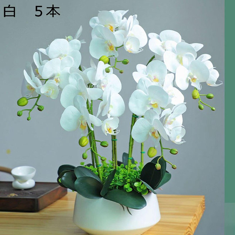 造花インテリア 胡蝶蘭 アートフラワー 卓上置き 枯れない花 装飾花 陶器鉢 観葉植物 リアル 簡単世話いらず ミニ花器 北欧 アート ins 家 事務所 店 喫茶店 ガーデン 装飾置物 贈り物 写真撮影｜感謝マーケット