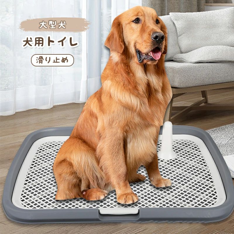 楽天市場】犬用トイレ ペットトイレ 大型犬 ペット メッシュ 犬トイレ 犬用トイレトレー 滑り止め ペット用品 トイレ 長さ65cm×幅50cm 犬の トイレ トレーニング お手入れ簡単 抗菌 犬用トイレボックス 屋内 屋外 大型犬 : 感謝マーケット