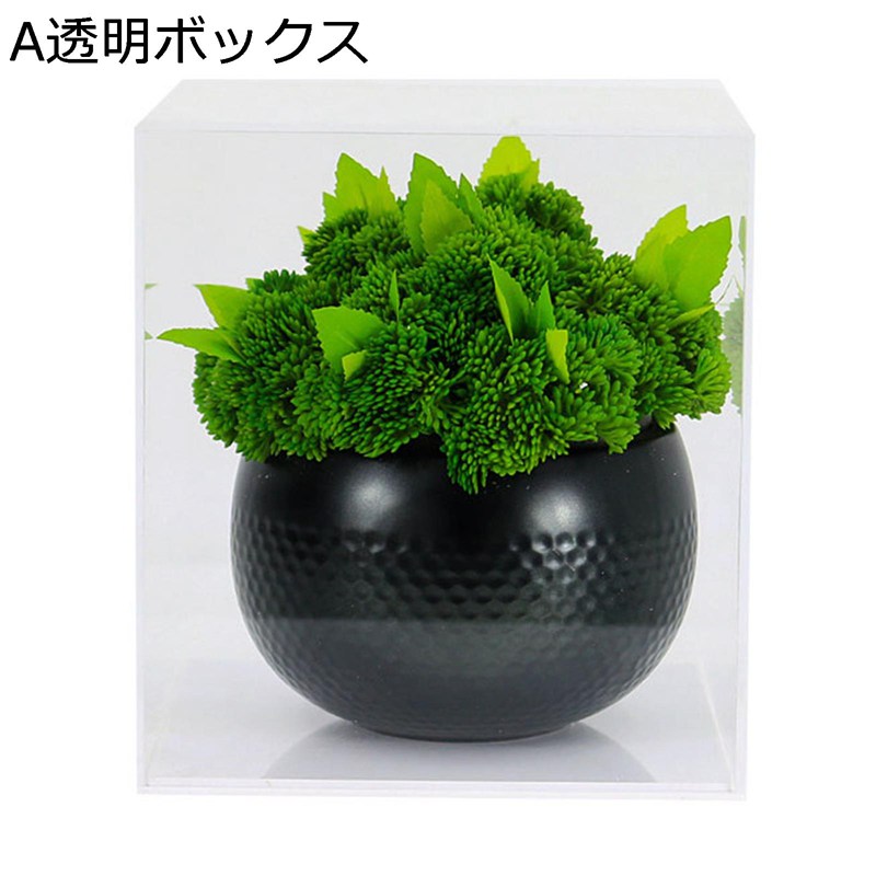 フェイクグリーン 蘚苔 造花 御花申し合わせ 花立て付き添い人 室内装飾 卓上 アクリル樹脂 人工観葉草木 今日このごろ的 本物そっくり バス発着場用 旅人宿 喫茶店 屋内 洗面所 客間 造営 水やり不必要
