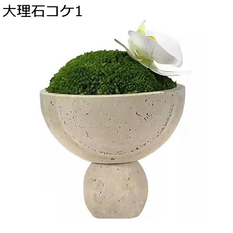 造花 苔 夢見鳥蘭 御花取りあわせる 枯れない 花立て付き添い人 マーブル 造園 室内装飾 お世話不必要 部屋の入り口 ins風 好いたらしい 柔らかいな葉 砂ぼこりに揺るぎない お座敷飾りつけ 見せびらかす用 バス発着場 喫茶店 茶房 寄り合い
