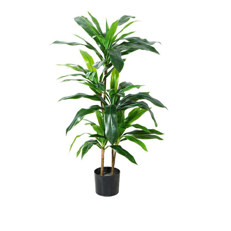 フェイクグリーン ウンベラータ 240糎 150糎 芭蕉の木 ご覧になる草木 人工観葉樹 人工観葉草木 観葉草木 如何様物 造花 分かりやすい 執務室 室内 室内装飾 大型 鉢 今めかしい 人工 儀式用