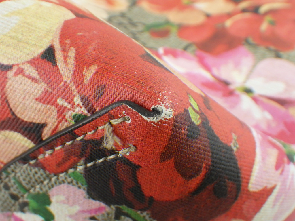 最高のコレクション Gucci 蛇 壁紙 ただ素晴らしい花