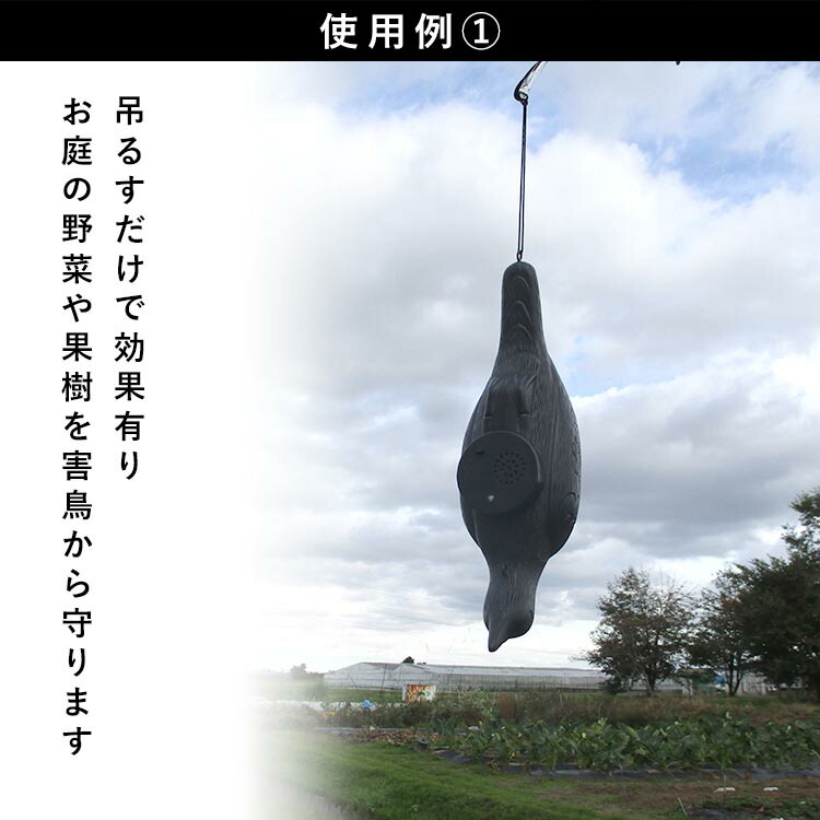 長鳴き鶏よけ 鳥除け 放逐グッズ 禦鳥工具 害鳥方略 鳥害対策 鳥金型 からす型 烏皆殺 からす対策 音威かし ぽっぽ ぽっぽ 雀 リモコン婚儀 分野 ゴミ所 縁側 農園 眷族家庭菜園 鳥被害 防鳥呼び出し 吊り下げもの恐ろしさ 電池式 検出器 泣喚くカラス 送料無料 送料無料