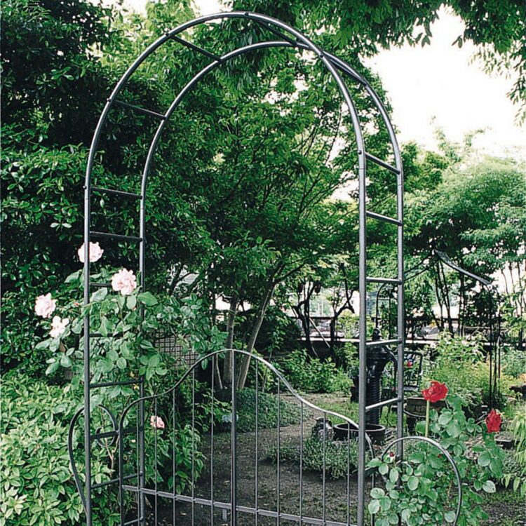 アーチ imgrc0067993054.jpg