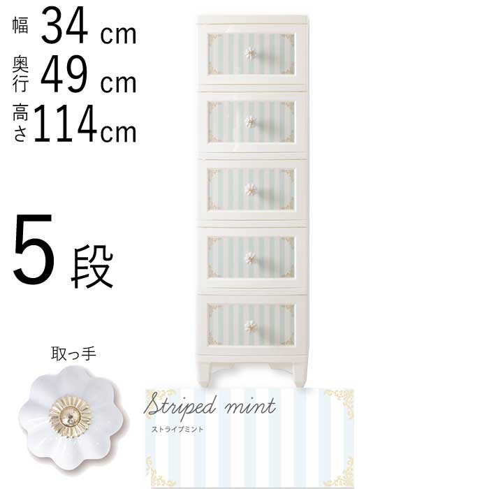 収納 ケース 衣装 ケース 収納ケース 収納 ボックス 収納ボックス 引き出し 整理 棚 押し入れ収納 押入れ クローゼット チェスト かわいい おしゃれ 組み立て式 【5段】【ストライプミント】全国一律送料無料｜エクステリア関東.外構＆DIY専門店