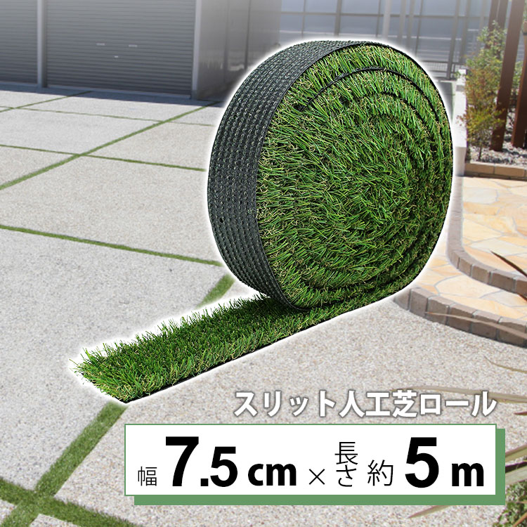 暑さに負けない！夏の好いたらしい生きて行くを勇気付けるする【暑さ打つ手特集】