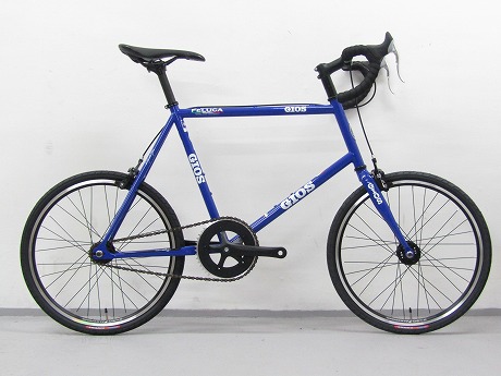 楽天市場】GIOS ジオス 2025 AIRONE アイローネ [ジオスブルー・ワイン