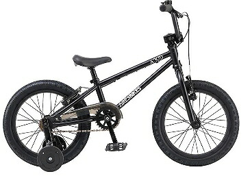 海外並行輸入正規品 2023 アーレスバイクス 楽天市場】ARESBIKES APLUS BIKE COMP 自転車本体