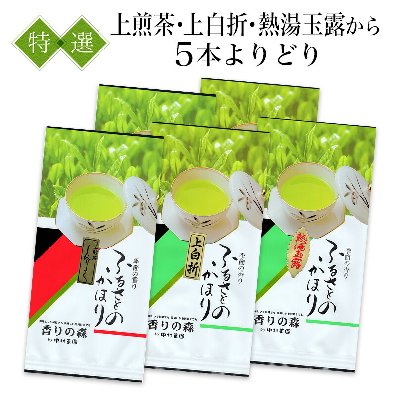 八女 茶・特選セット上煎茶・上白折・熱湯玉露からよりどり100g&times;5本 3000円家庭用/普段使い/日本茶/緑茶/お手頃/ご近所へ/カジュアル/贈り物