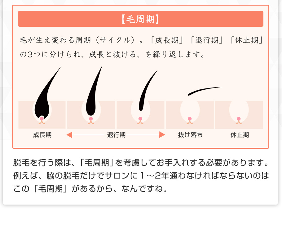 楽天市場 脱毛器 ベルソラーレ Vio ひげ 脱毛 美顔器 除毛 ムダ毛 光脱毛 脱毛機 Ipl フラッシュ脱毛器 Vio 脱毛器 家庭用 メンズ ムダ 毛処理 女性 カラダclub 楽天市場 脱毛器 ベルソラーレ Vio ひげ 脱毛 美顔器 除毛 ムダ毛 光脱毛 脱毛機 Ipl フラッシュ脱毛器 Vio 脱毛器 家庭用 メンズ ムダ 毛処理 女性 カラダclub