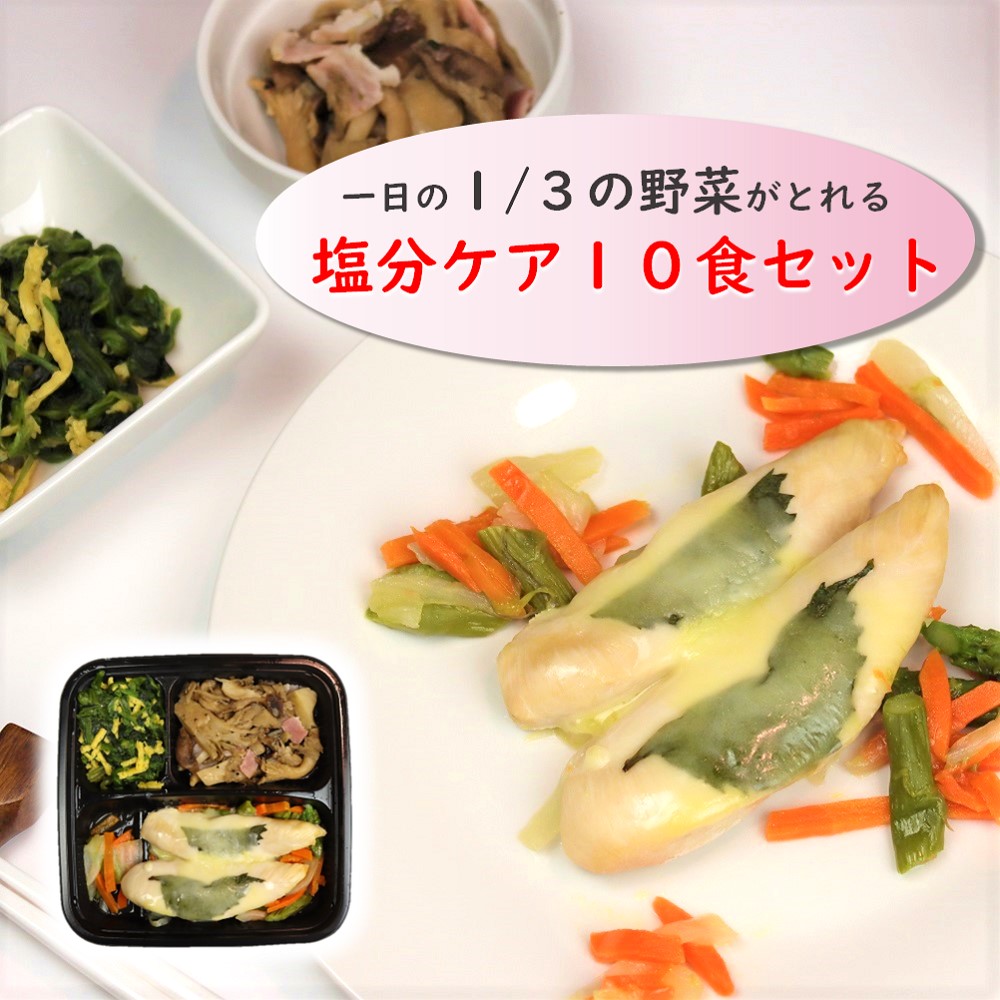 冷凍弁当 塩分ケア10食セット 【からだデリ 味の富士山】 （B-1,4,5,11,12,13,17,23,25,27） 塩分1.7ｇ以下 一日の1/3の野菜がとれる 国立病院機構の管理栄養士が監修 宅配 惣菜 副菜 健康弁当