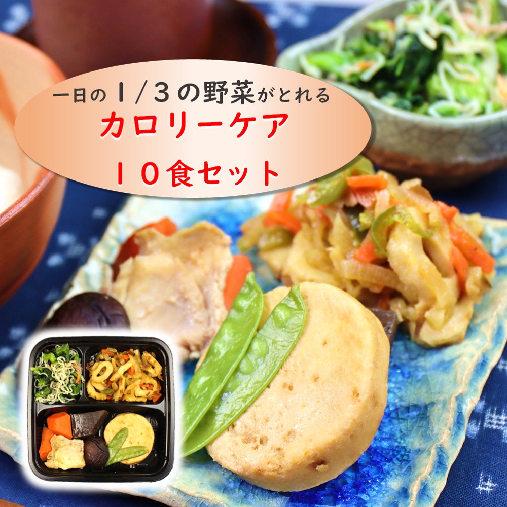 冷凍弁当 カロリーケア10食セット 【からだデリ 味の富士山】 （B-1,2,4,5,6,7,8,9,10,11）一日の1/3の野菜がとれる 国立病院機構の管理栄養士が監修 宅配 惣菜 副菜 健康弁当