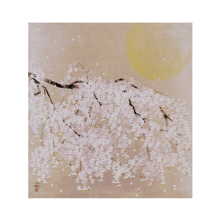 風呂敷 ブランドのギフト 送料無料 桐箱付 絹のふろしき 中島千波 桜花風月68ｃｍ風呂敷専門店 唐草屋
