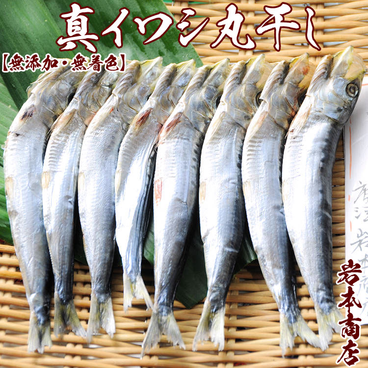 いわし 楽天市場】北海道産 超特大いわし丸干し 巨大キングサイズ 20尾
