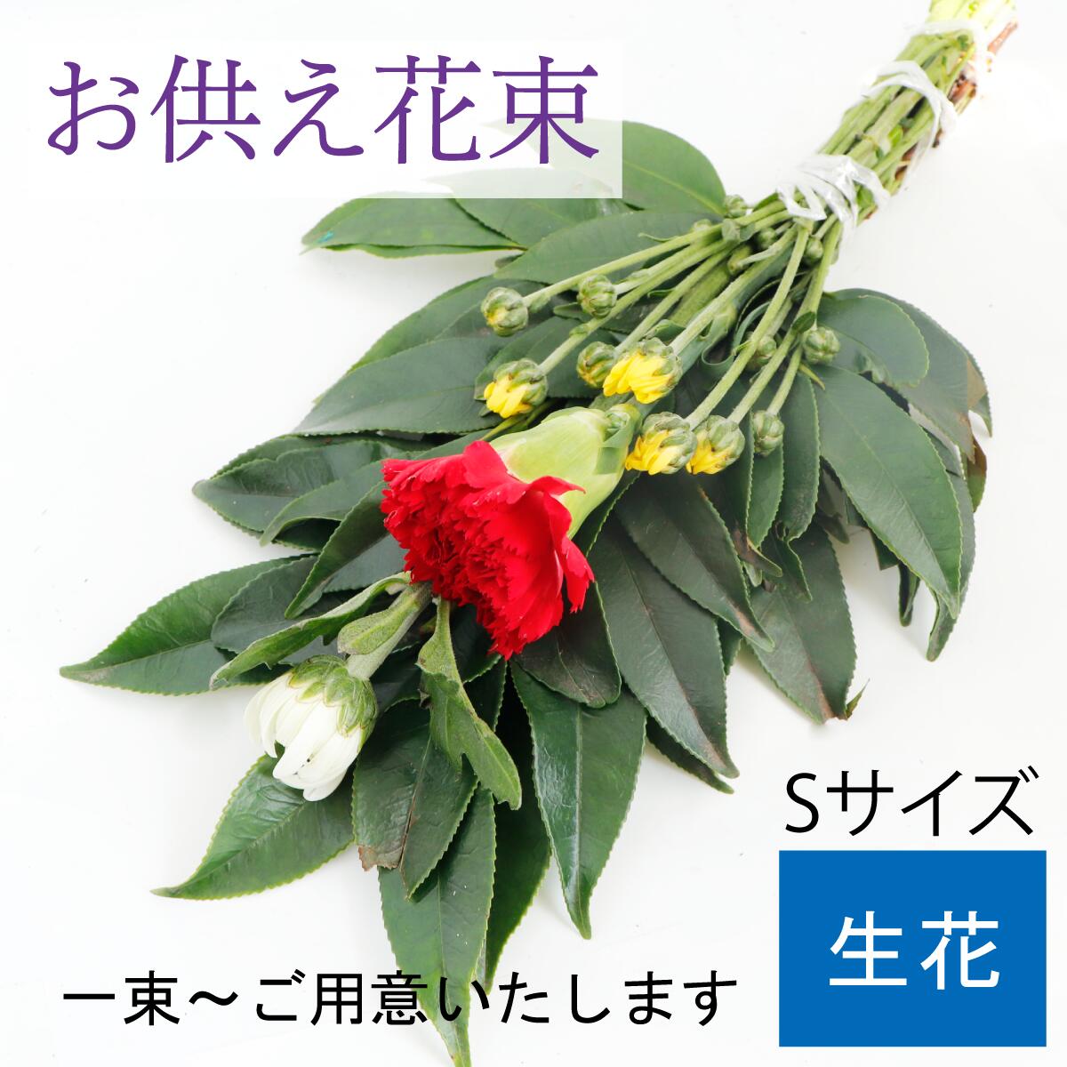 楽天市場】【お供え花束】 お供え花束 Mサイズ 切り花 花束 お供え 仏