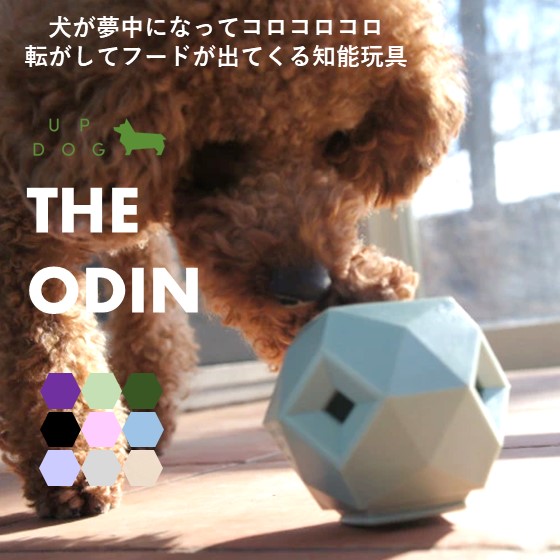 額装品/夢中にかぶりつく犬/シャロン ビールス imgrc0121591992.jpg