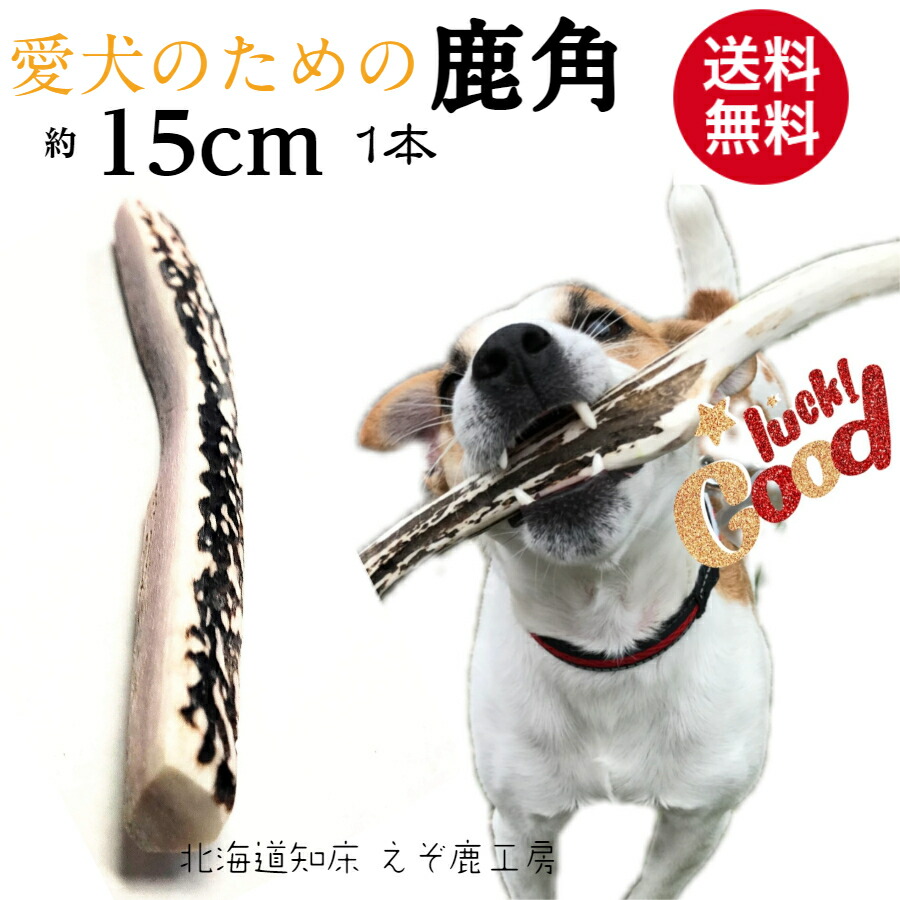 楽天市場 鹿の角 犬 おもちゃ 15cm 4つ割り 1本 鹿角 小型犬 国産 北海道 天然 エゾ鹿角 玩具 デンタルケア ガム 歯磨き エゾシカ 愛犬 スティック 骨 ボーン 角 歯周病 健康 ペット お試し フード 防止 しつけ 犬用 えぞ鹿工房カルペ