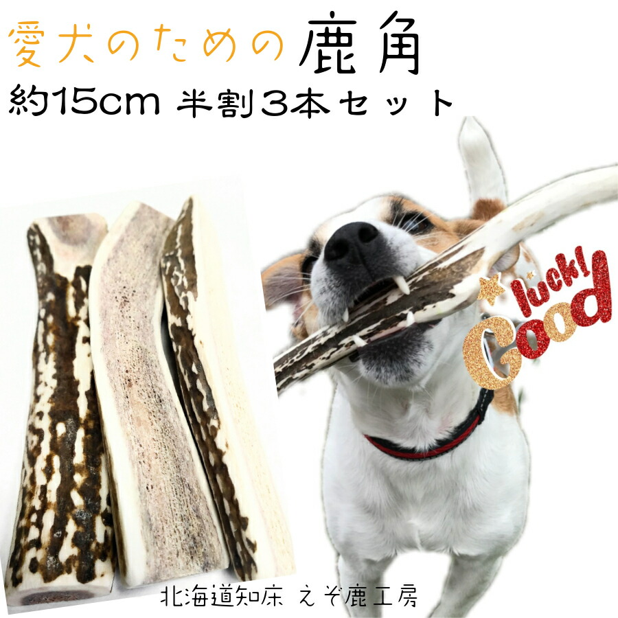 【楽天市場】鹿の角 犬 おもちゃ 15cm 4つ割り 1本 鹿角 小型犬 国産 北海道 天然 エゾ鹿角 玩具 デンタルケア ガム 歯磨き エゾシカ  愛犬 スティック 骨 ボーン 角 歯周病 健康 ペット お試し フード 防止 しつけ 犬用 : えぞ鹿工房カルペ