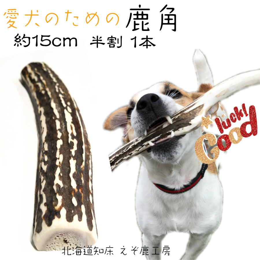 楽天市場】鹿の角 犬 おもちゃ 15cm 4つ割り 1本 鹿角 小型犬 国産